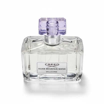 Silver Mountain Water - Top View